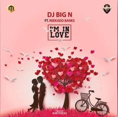 DJ Big N- I'm in love