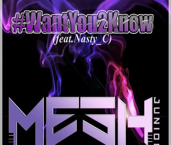 Mesh Junior Want You 2 Know